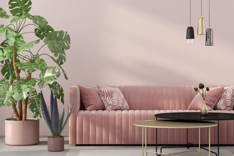 puderrozsas falfestekkel kialakitott modern nappali pasztell arnyalatokkal barsony kanapeval es zold novenyekkel harmonikus es elegans enterior kialakitashoz